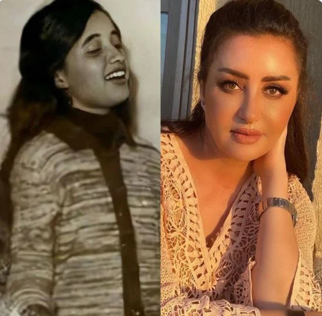 من هي الفنانة لطيفة ويكيبيديا